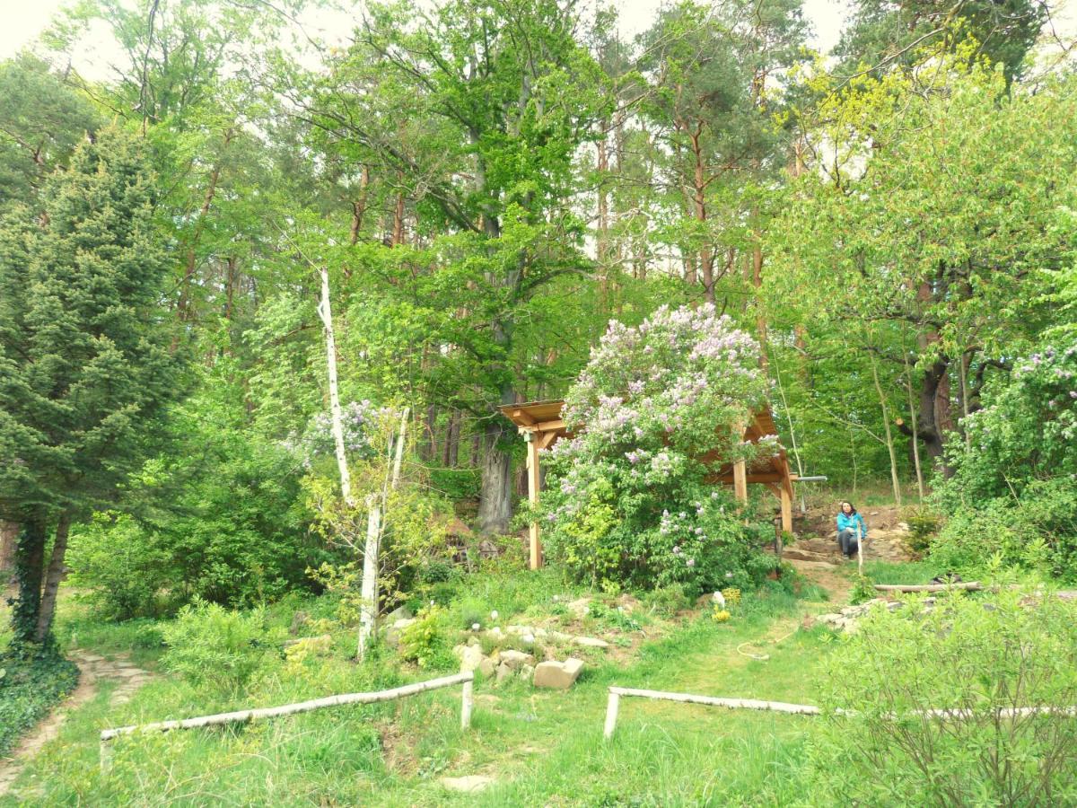 Chaloupka U Sv. Dyndy Apartman Nová Ves Kültér fotó